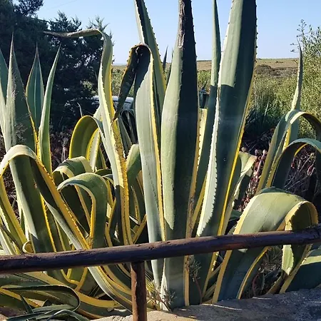 Il Sogno Di Stintino