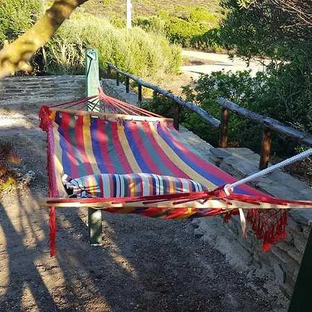 Il Sogno Di Stintino